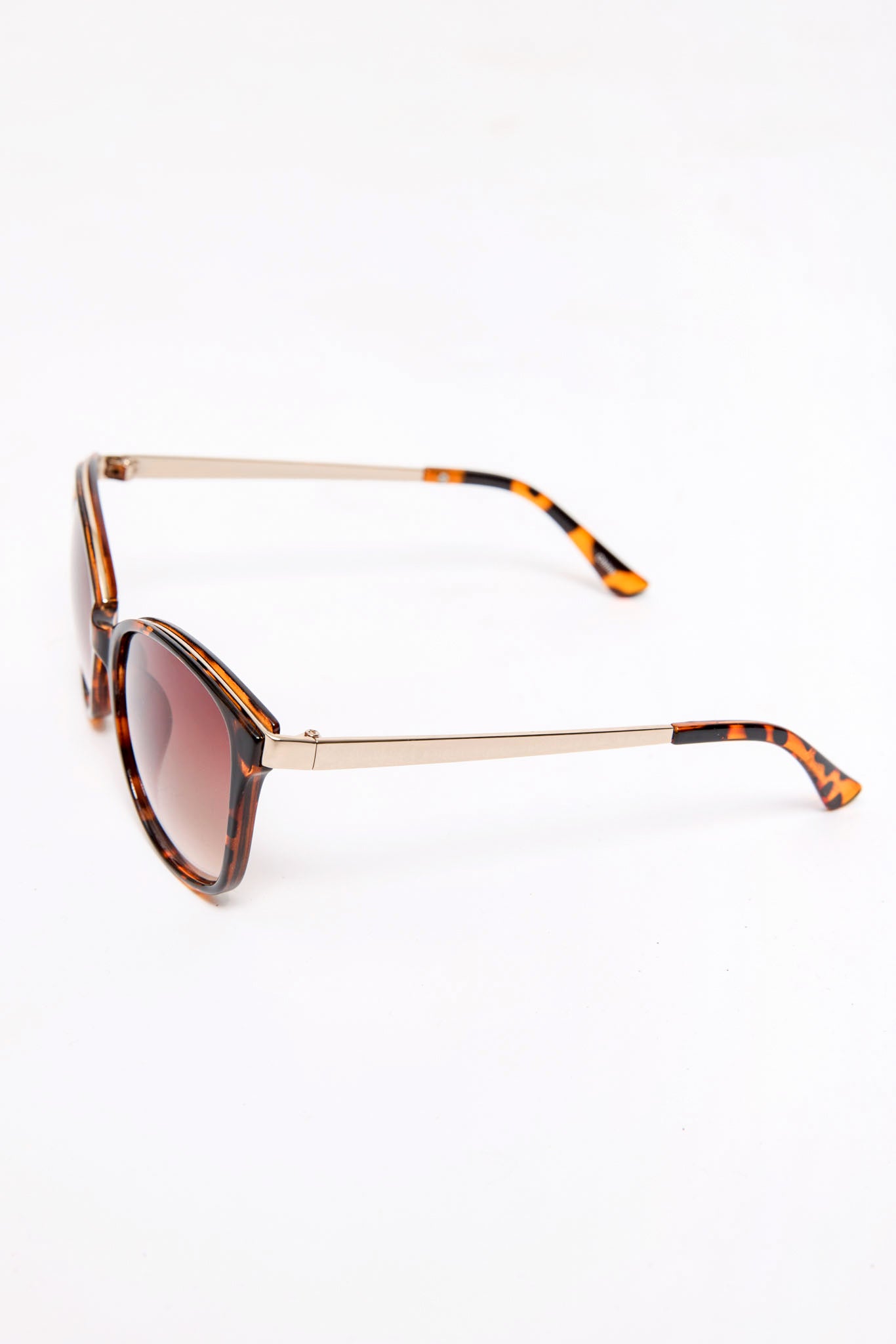 Pantos Sunglasses with Metal Trim and Arms