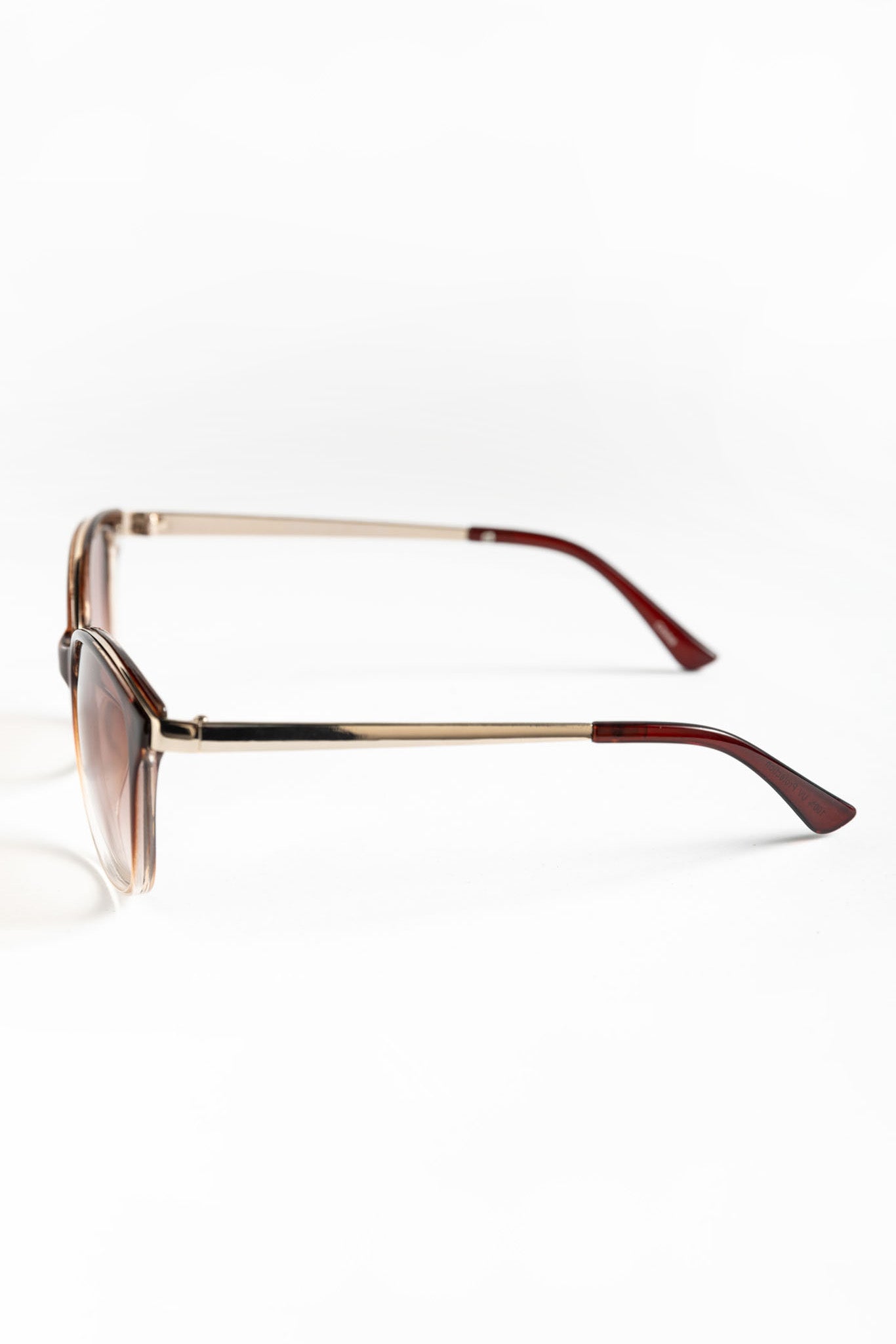 Pantos Sunglasses with Metal Trim and Arms